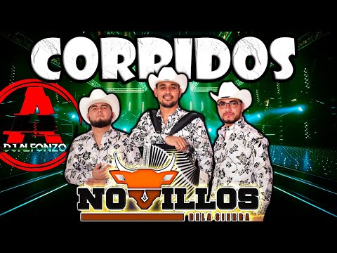 Corridos Mix 🔥 LOS NOVILLOS DE LA SIERRA 🔥 DjAlfonzo