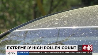 Tips to get through pollen season