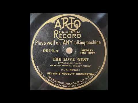 Selvin's Novelty Orchestra "The Love Nest" 1920 Society Dance Fox Trot 78 RPM