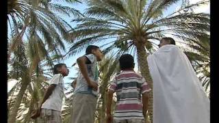 preview picture of video 'atfal quoran sidi khaled by ahmed dz'