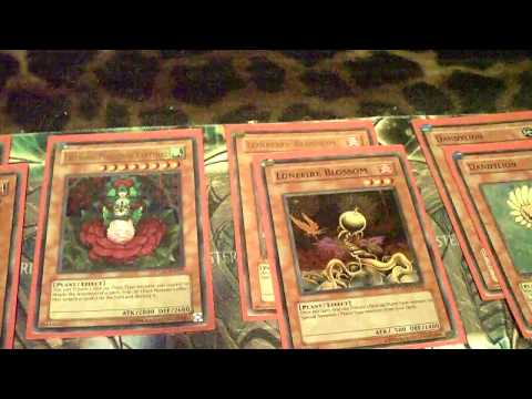 Yusei Hime - Quickdraw Plants