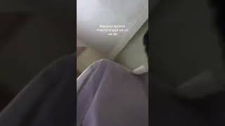 Download lagu STORY WA 30 DETIK TERBARU || STORY WA TERBARU || GEGEWEPRET STORY #storywa mp3 Download lagu STORY WA 30 DETIK TERBARU || STORY WA TERBARU || GEGEWEPRET STORY #storywa mp3