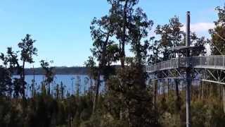 preview picture of video 'West Coast Treetop Walkway, Hokitika. Part 5.'