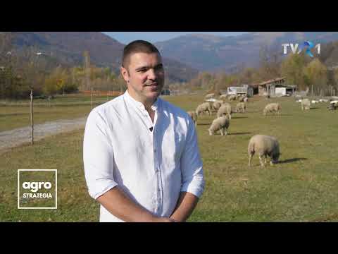 , title : 'Tânărul care crește găini Brahma, oi din rasa Texel și porci Mangalița'