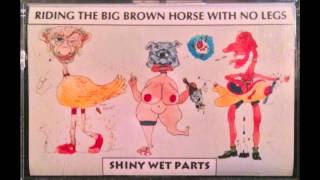 Shiny Wet Parts - What We Say