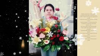 Lá»i Dá»ch Bai Hat Si No Estas C Kan há»c tiáº¿ng anh qua bai hat