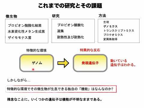 【山口大学OC2025／農学部／生物機能科学科】10 微生物機能学分野