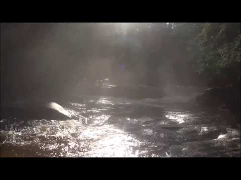 Grupul Omega - Cu Tine-n gand