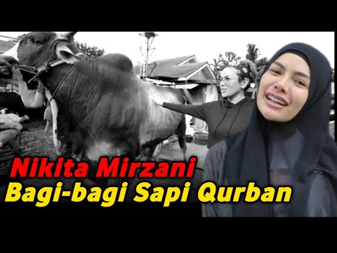 Nikita Mirzani Bagi bagi Sapi Qurban