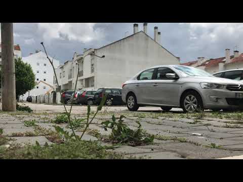 First Start Polini 177cc Vespa Sprint 1971