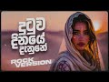 Dutuwa Dinaye Danune දුටුව දිනයේ දැනුනේ Future Mix 2025 Mix By NiMaa