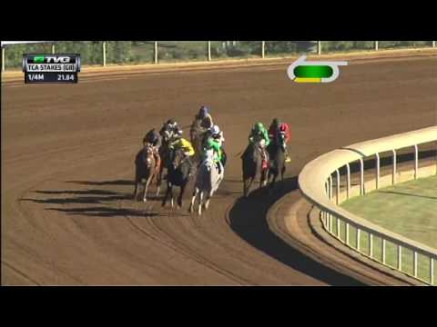 RACE REPLAY: 2016 TCA Stakes Featuring Irish Jasper