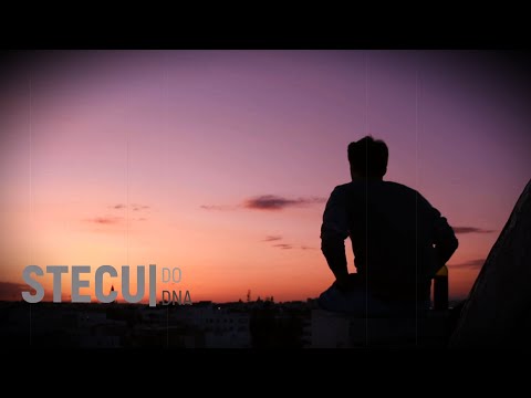 Stecu - Do dna