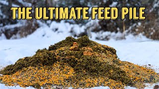 We set up the ULTIMATE Wildlife Feed Pile in the Woods... Here's what Happened! Trail Camera