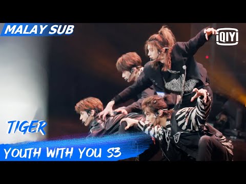 Trainees' Group: Tiger | First Ranking Stage | Youth With You S3 | iQiyi Malaysia
