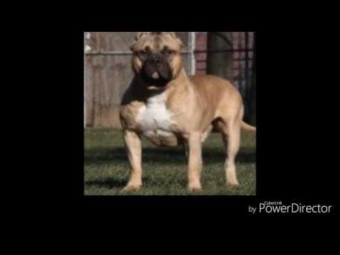 Psycho mnf ft Kye Money.~Where I'm From