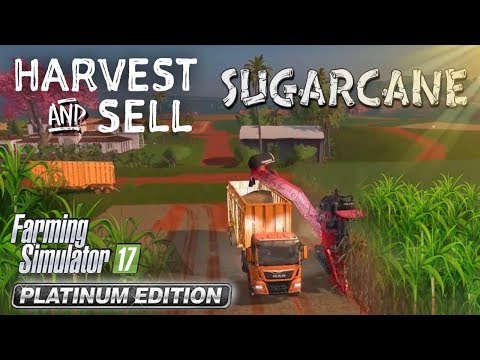 Farming Simulator 2017 Platinum Edition - Estancia Lapacho Harvesting / Selling Sugarcane