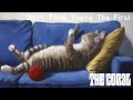 The Coral - Don’t Think You’re The First