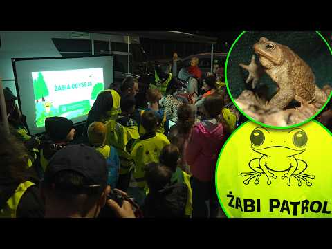 Wideo 2