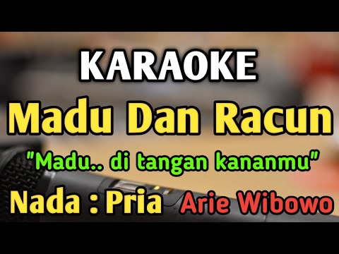 MADU DAN RACUN - KARAOKE || NADA PRIA COWOK || Lagu Nostalgia || Arie Wibowo || Live Keyboard