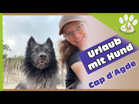 Urlaub mit Hund in Cap d'Agde in Südfrankreich
