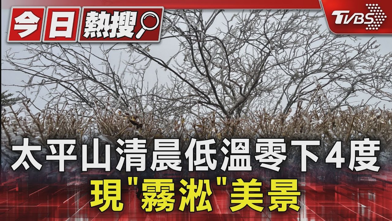 太平山清晨低溫零下4度 現「霧淞」美景