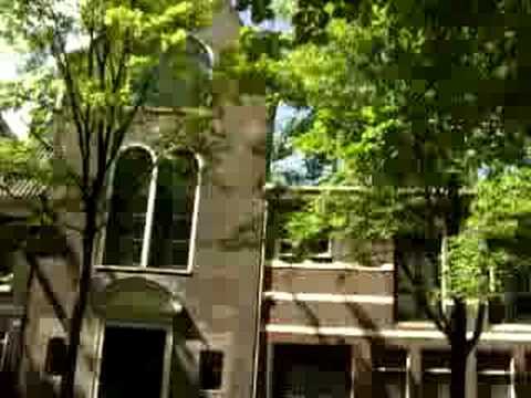 Amsterdam Troppo Verde