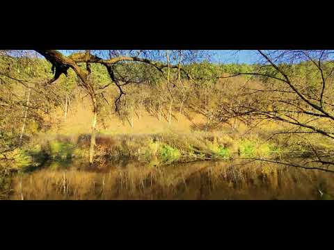 Die Thaya, Fluß an der Grenze