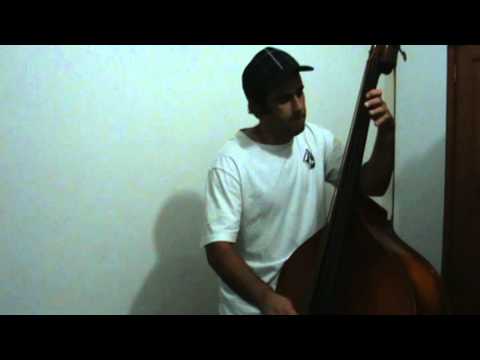 The Quakes - Negative Charge (double bass cover)