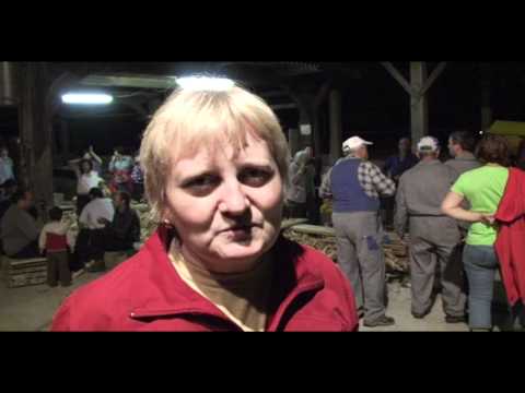 Ličkanje pri Vidicevih