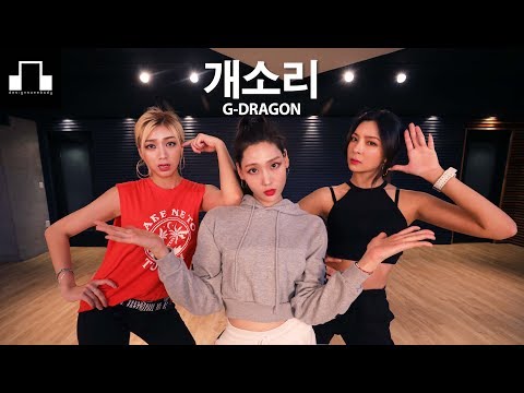 G-dragon - 개소리 (Bullshit) / dsomeb Choreography & Dance