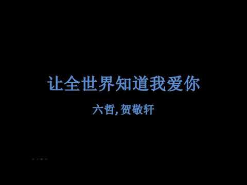 Liu Zhe - Let The World Know I Love You Lyrics + Pinyin + English Translation
