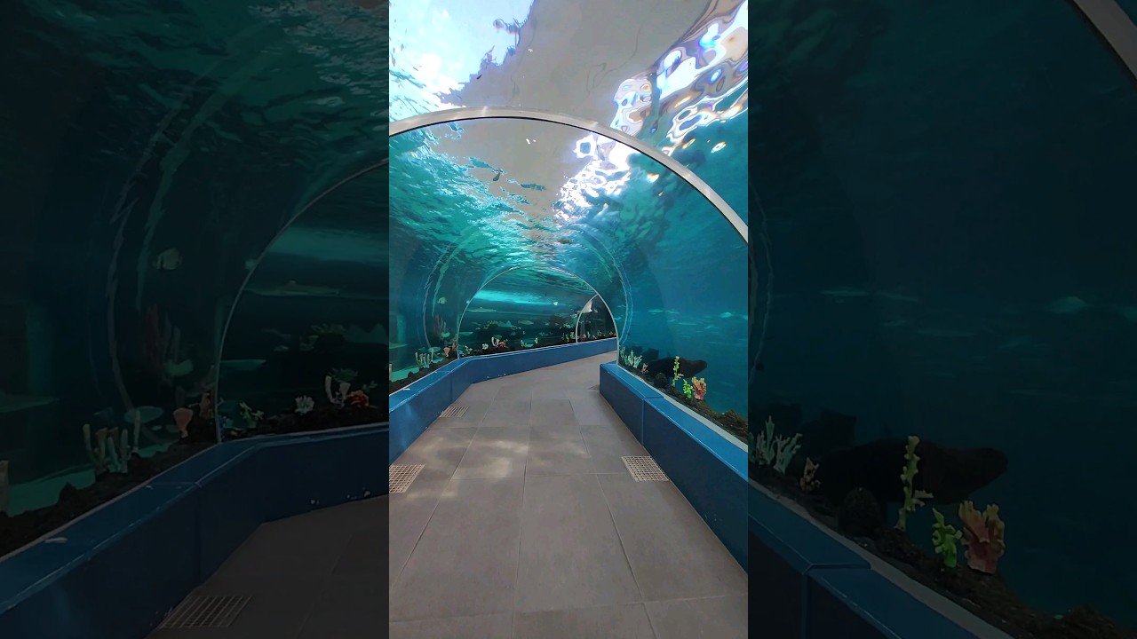 YouTube Short thumbnail