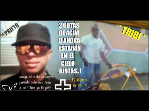 Jaby y Tazmaniak - R.I.P_Prieto Te Recordaremos