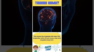 Download lagu Fakta otak manusia #otakmanusia #faktaunik #faktamenarik #edukasi #education #tahukahkamu #ingintau mp3