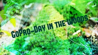 preview picture of video 'GoPro-Day in the woods'