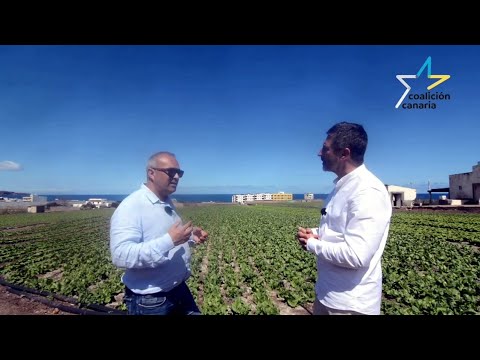 Conocer de dónde venimos para saber hacia dónde vamos