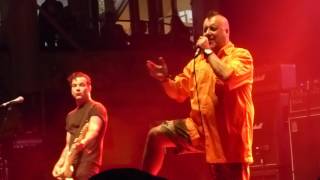 Peter and the Test Tube Babies - In Your Face  &quot;Live@Rebellion Festivals&quot;