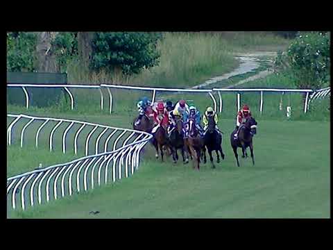 Napoli Galoppo 18/06/2021 - 6ª corsa