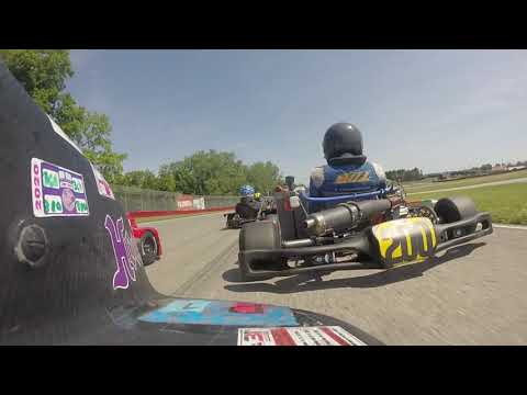 Mid-Ohio Dart Kart Club Animal 380 Race 5 Sat(run on Sunday)