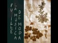 Pupille - La Música De Moda