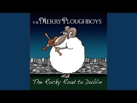 Dublin Jack Of All Trades