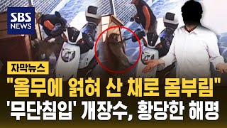 올무에 얽혀 산 채로 몸부림 '무단침입' 개장수, 황당한 해명 (자막뉴스) / SBS