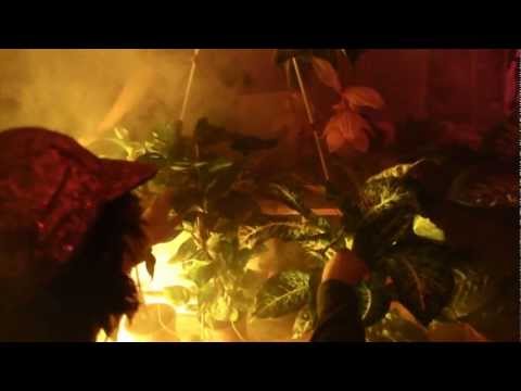 baumarktmusik set #01: MSHR (USA) & Sporay (USA)