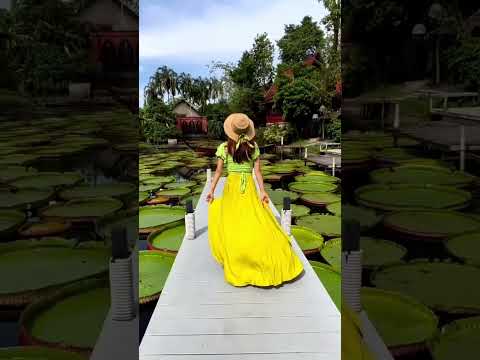 Best places to visit in Phuket ☀️🌴 #thailand #mustvisit #phuket