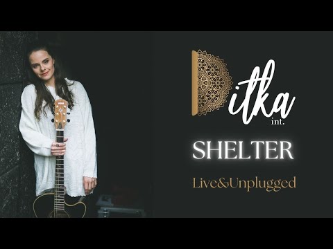 Ditka int. - Shelter (Live&Unplugged)
