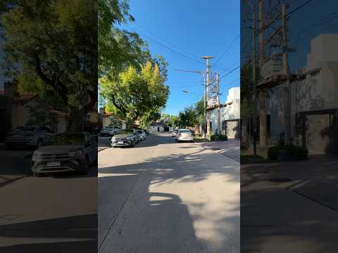 Calle Alte. Brown entre Paraná y Reconquista, Godoy Cruz #mendoza #argentina #travel #shorts