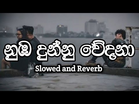 Nuba Dunnu Wedana | නුඹ දුන්නු වේදනා | Slowed and Reverb