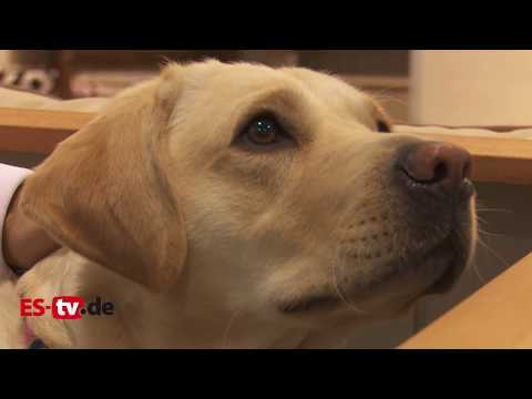 Tierische Messe "Animal"