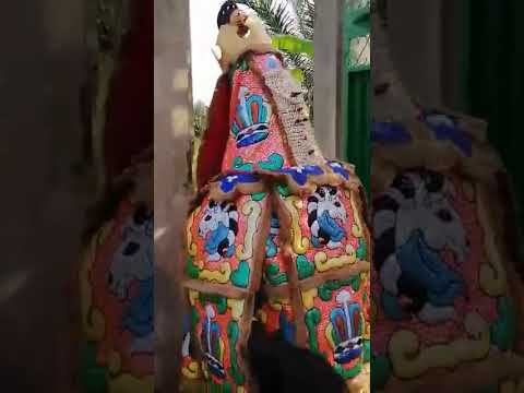Vidéo externe